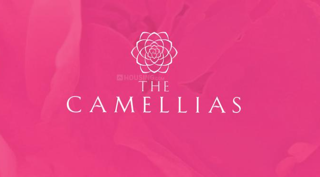 DLF The Camellias