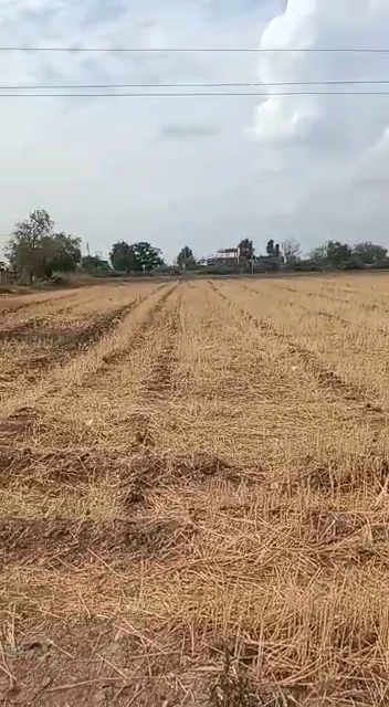 Industrial land